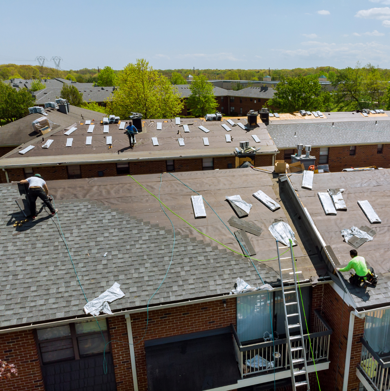 shingle roof replacement